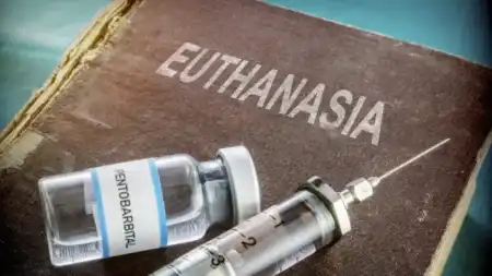 Debate por la eutanasia: las iniciativas que buscan cambiar la ley en Argentina eutanasia