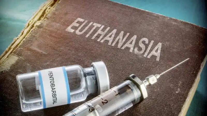 Debate por la eutanasia: las iniciativas que buscan cambiar la ley en Argentina eutanasia