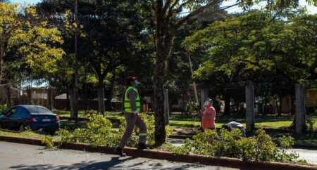 posadas poda