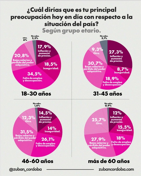 Poder adquisitivo y empleo encabezan las preocupaciones: qué revela la encuesta DDD de febrero 5 preocupaciones por edad - 4