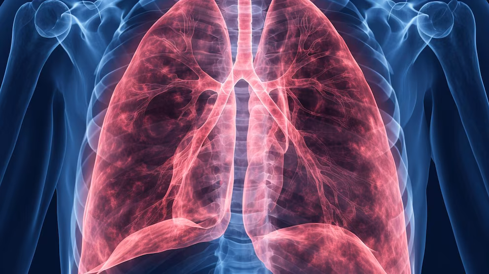 Pulmones en riesgo: alertan por el vapeo sin nicotina