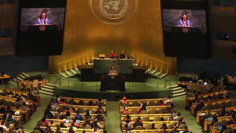 “Sin territorio no hay vida”: una lideresa Mbya Guaraní de Misiones llevó su reclamo a la ONU 4 Foro Permanente de la ONU - 3