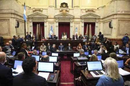 El Gobierno apuesta al Senado para avanzar con leyes de Salud Mental y Discapacidad Gobierno
