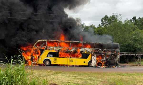 El incendio se desató en plena Ruta Provincial 103, a la altura de Mártires, y el colectivo fue consumido por las llamas.