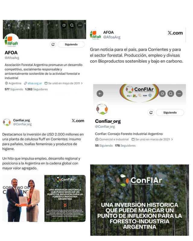 Ituzaingó será sede de la mayor planta de fibra de pino del mundo 2 Ituzaingó