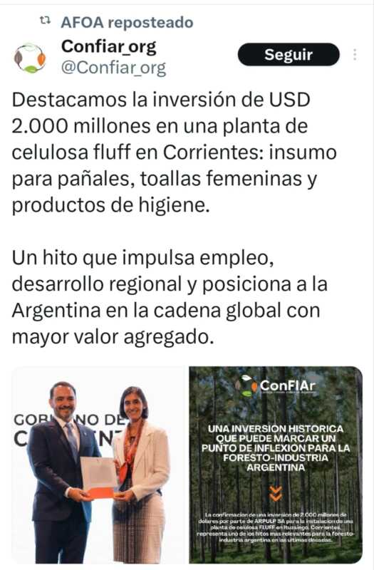 Ituzaingó será sede de la mayor planta de fibra de pino del mundo 1 Ituzaingó