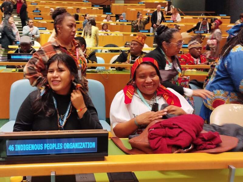 “Sin territorio no hay vida”: una lideresa Mbya Guaraní de Misiones llevó su reclamo a la ONU 2 Keila ONU 1 - 1