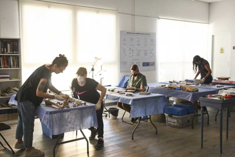 Terrorismo de Estado: cuerpos arrojados al Paraná 2 Laboratorio Antropologia 1536x1024 1 1100x733 1 - 1
