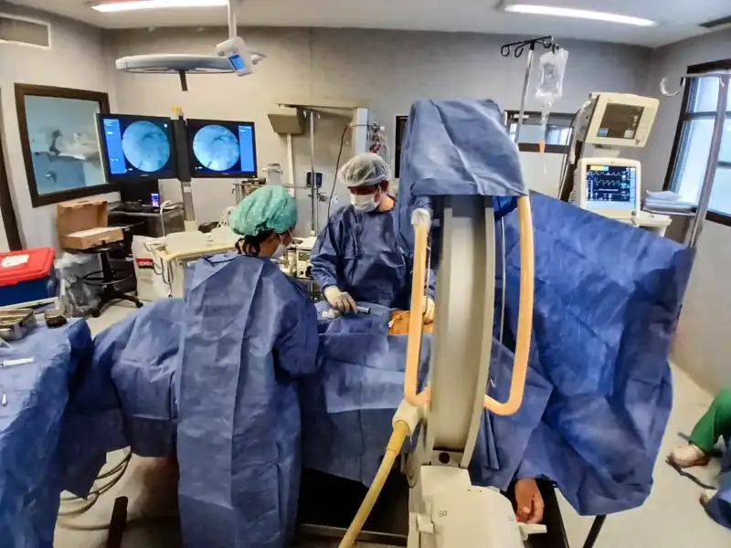 Hospital Madariaga: récord de 1.200 cirugías mensuales, más de 40 mil consultas y liderazgo en trasplantes en el NEA 3 El principal hospital de Misiones superó las 40 mil consultas en 2026 y reafirma su liderazgo sanitario en el Nordeste.