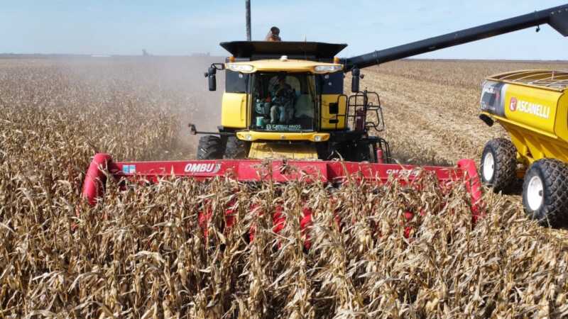 CONINAGRO: El conflicto en Medio Oriente presiona los costos del agro y vuelve a achicar los márgenes productivos informe CONINAGRO conflicto en Medio Oriente