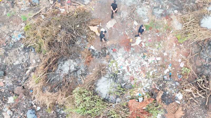 Operativo en chacras de Guaraní: no hallaron pruebas de maltrato animal