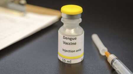 dengue
