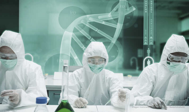 Día de la Investigación Científica en Argentina: el legado de Bernardo Houssay y la vigencia del trabajo interdisciplinario 2 La ciencia argentina se fortalece a partir del trabajo interdisciplinario en laboratorios y centros de investigación. Foto: Binario.