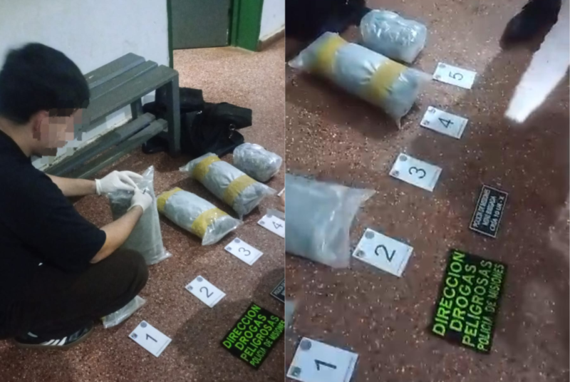 Golpe al narcomenudeo: secuestran más de 4 kilos de marihuana valuados en $15 millones marihuana secuestran millones narcomenudeo kilos