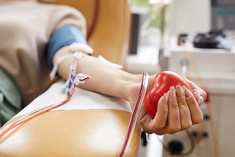 Día Nacional del Donante de Médula Ósea: concientización, salud y solidaridad que salva vidas 1 La compatibilidad genética es clave, por eso cada nuevo donante registrado puede marcar la diferencia.