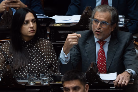 Con respaldo oficialista, la Ley Hojarasca obtuvo media sanción en Diputados