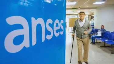 ANSES