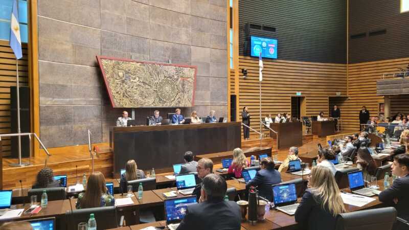 La Legislatura aprobó la creación de un laboratorio para detectar residuos químicos en alimentos DSC 000106 copia - 2
