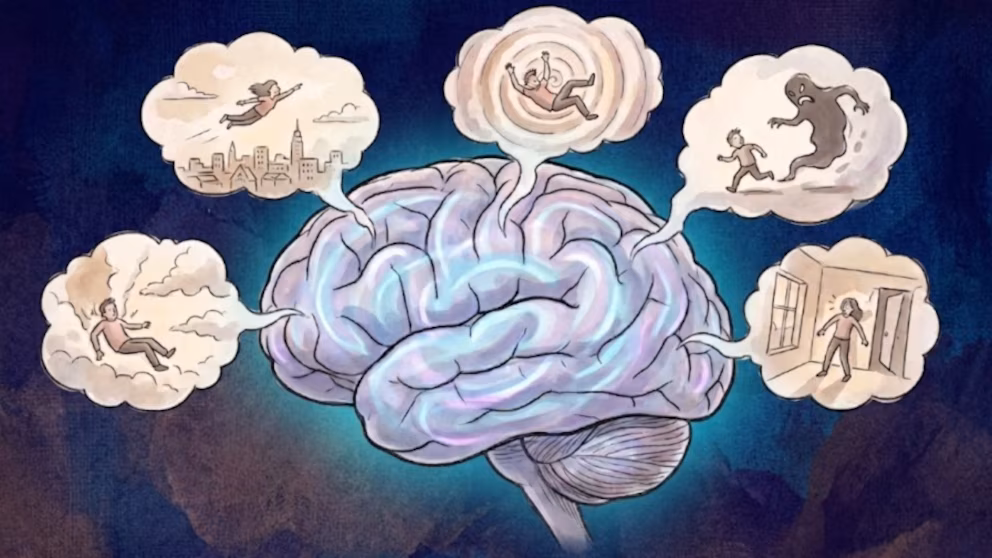 Los sueños que todos tenemos y las emociones detrás