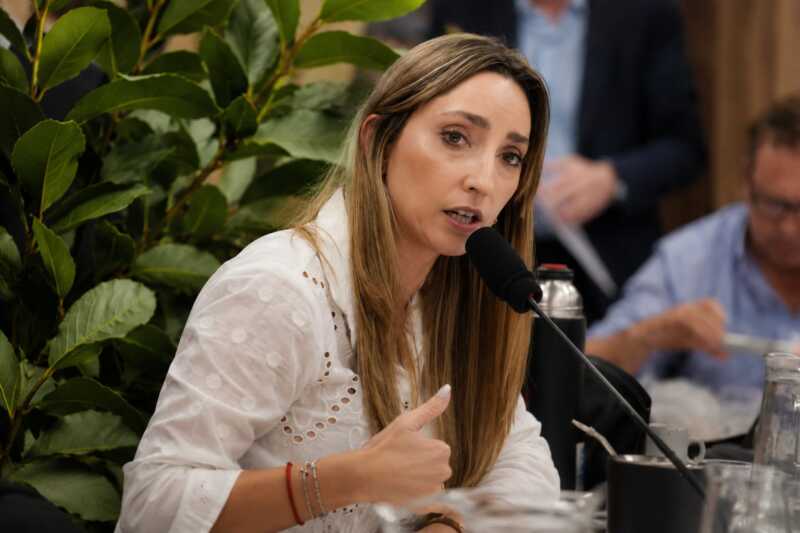 Crisis yerbatera: Strada cruzó al gobierno y sostuvo que “no se hacen cargo de las consecuencias de la desregulación” Julia Strada criticó la desregulación yerbatera