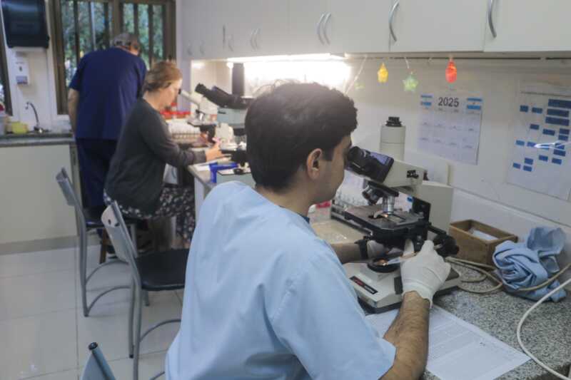 Misiones oncología