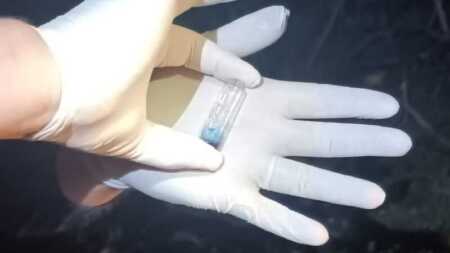 Puerto Iguazú: Secuestraron más de un kilo de cocaína valuado en casi $25 millones tras una persecución WhatsApp Image 2026 05 13 at 16.39.11 - 3