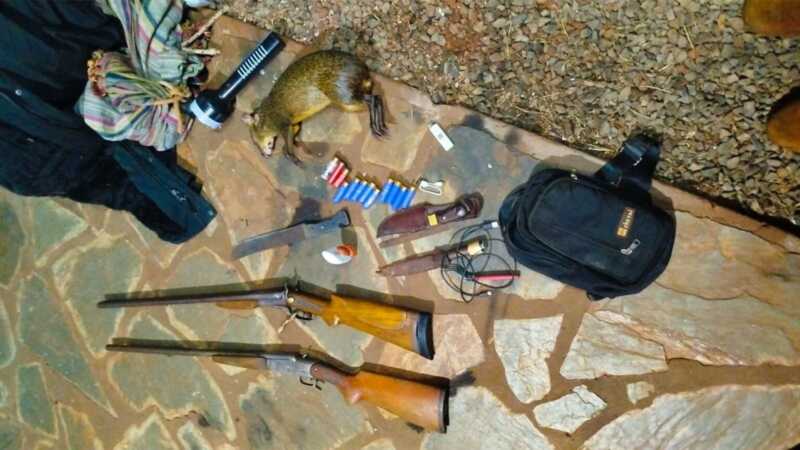 Guardaparques frustraron un caso de caza furtiva en Puerto Península