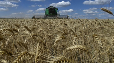 agro