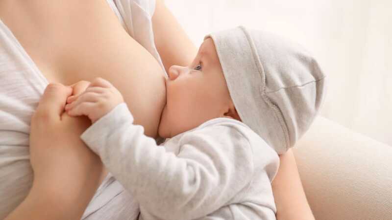 anticuerpos Leche