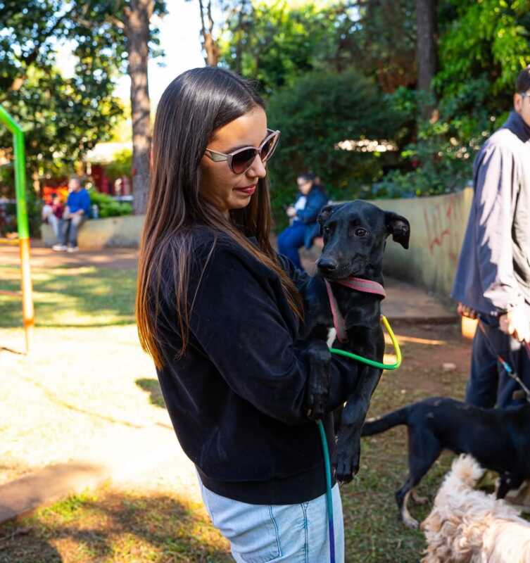 Servicios veterinarios gratuitos: el IMuSA refuerza la atención en Posadas