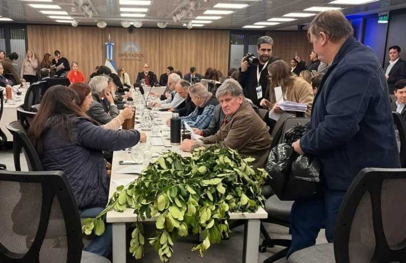 Productores, cooperativas y trabajadores rurales debatirán en Diputados el futuro del INYM en medio de una profunda crisis yerbatera.