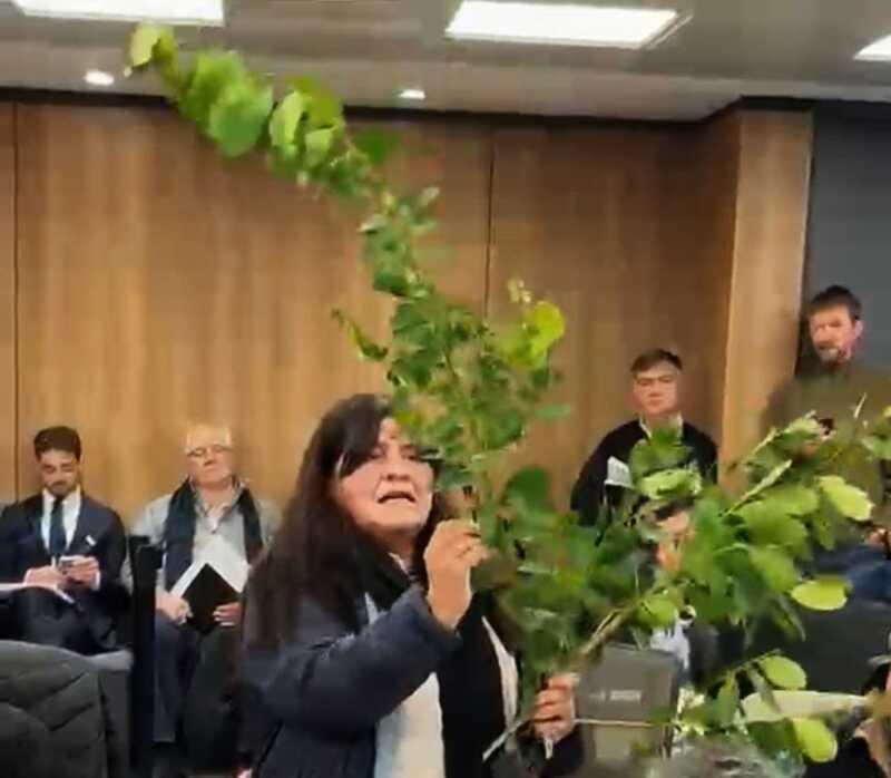 Exposición yerbatera en Diputados: “Hay pocas esperanzas”, sentenció Humeniuk 2 Ana Cubilla expuso la situación de los tareferos antes de la reunión clave en el Congreso por la yerba mate.