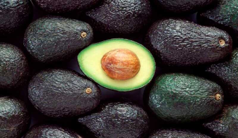 La palta se expande en Misiones y abre un nuevo horizonte productivo para las chacras 1 palta