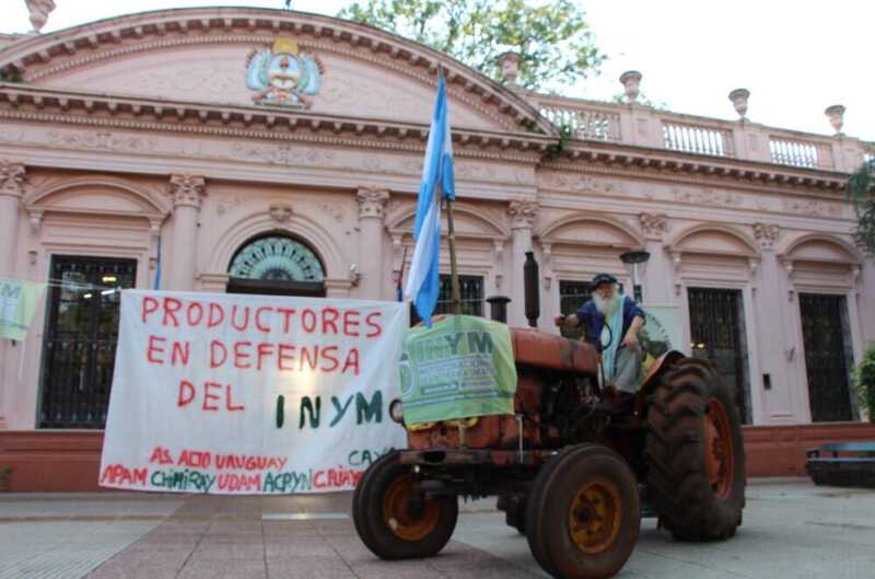 Productores yerbateros de Misiones buscan reconstruir la unidad del sector frente a la crisis económica y la desregulación del mercado.