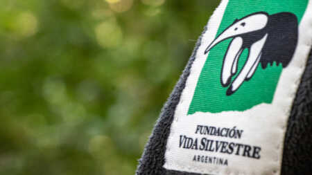 Fundación Vida Silvestre cuestionó la reforma de la Ley de Glaciares y el rumbo ambiental del país El director ejecutivo de Fundación Vida Silvestre cuestionó la reforma de la Ley de Glaciares, advirtió sobre el avance extractivista y alertó por el debilitamiento de las políticas ambientales en Argentina.