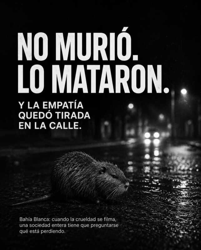 Maltrato animal: Mataron a un coipo en plena calle y el video provocó una ola de indignación