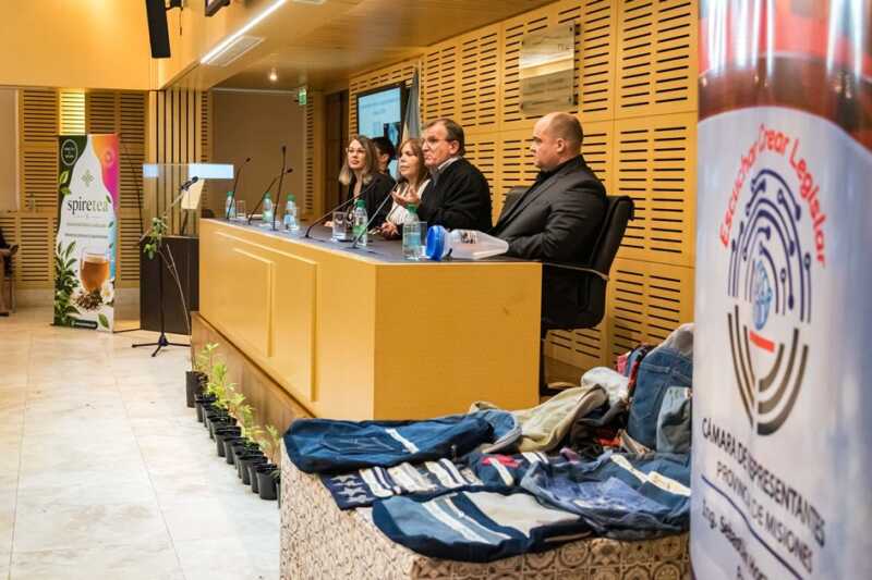 Día Mundial del Ambiente: estudiantes asumieron un compromiso ambiental en la Legislatura de Misiones 4 DSC 0718 - 3