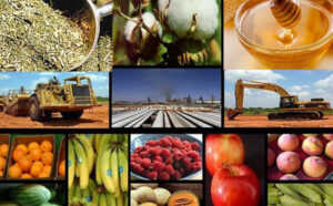 Economia Regional - 1