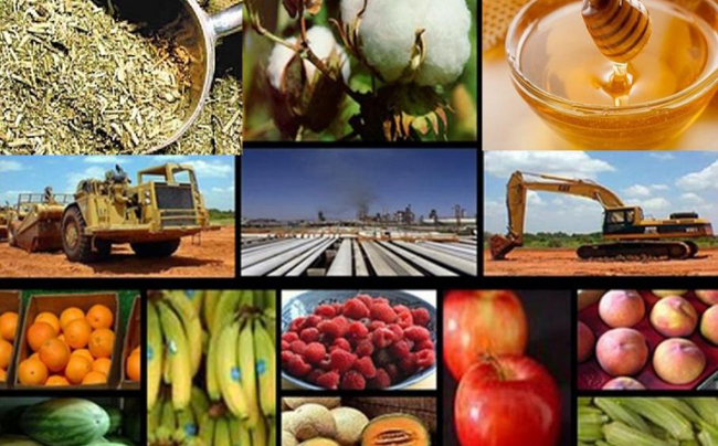 Economías regionales: abril cerró con mayoría de actividades en alerta Economia Regional - 3