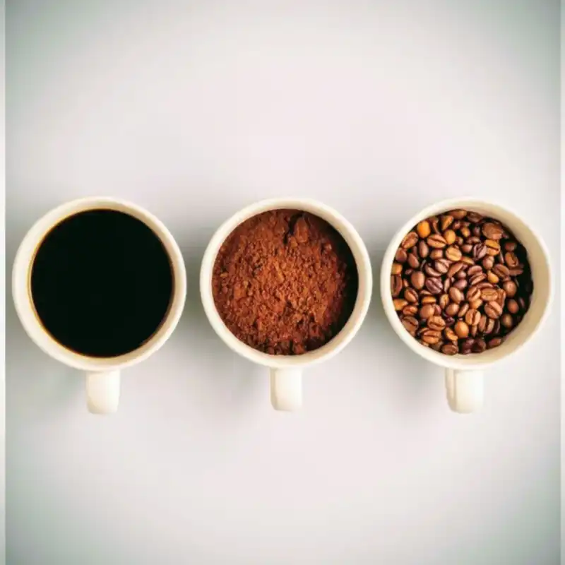 Desde Apóstoles, Bangwa Café impulsa una nueva cultura cafetera en Misiones 9 SaveClip.App 617471372 17843608011674417 4384867968405227135 n - 8