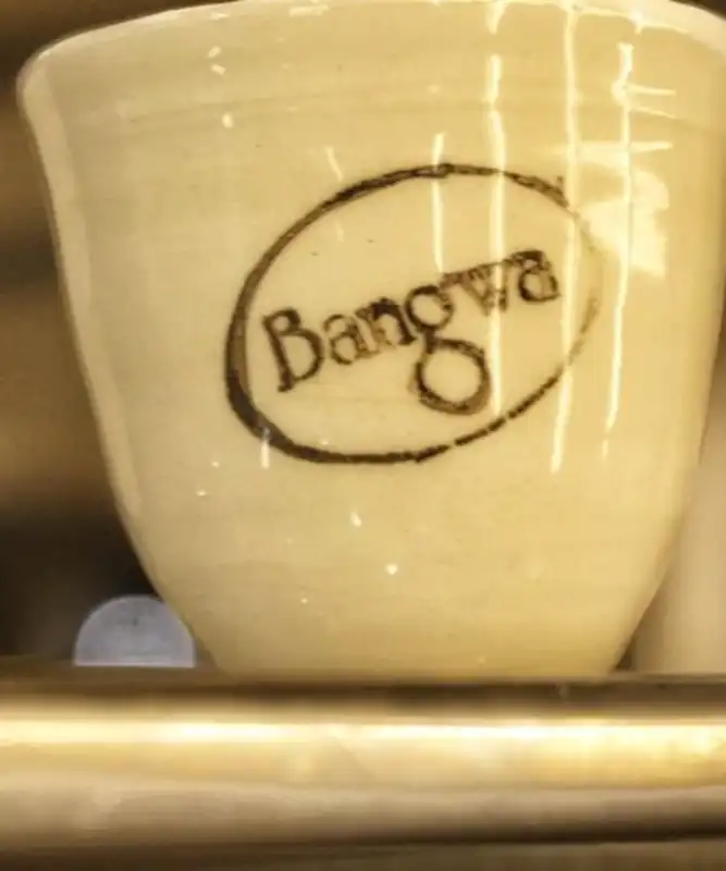 Desde Apóstoles, Bangwa Café impulsa una nueva cultura cafetera en Misiones 7 SaveClip.App 671205306 17864677848674417 5952337856590418947 n - 6