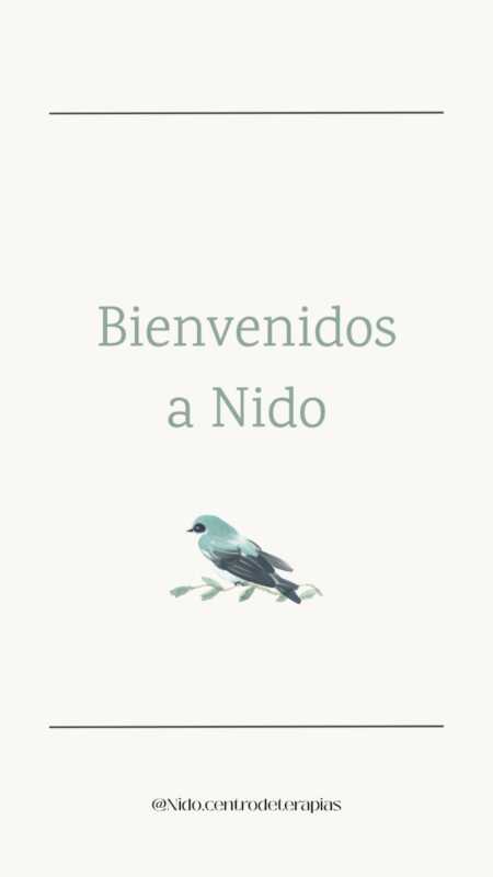 NIDO llegó a Posadas con una mirada innovadora sobre la salud mental 7 SaveClip.App 704750980 17863629096687703 772087685555721959 n - 6