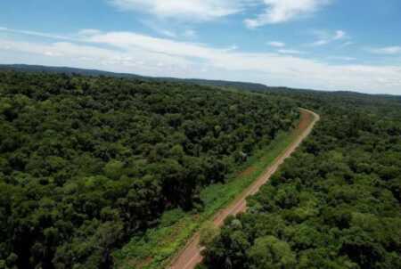 Misiones avanza en la creación de su primer Bono Verde