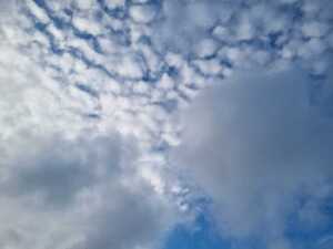El tiempo en Misiones: días frescos por la mañana y templados por la tarde WhatsApp Image 2026 06 08 at 16.36.25 - 1