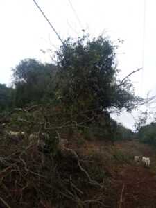 Restablecieron el servicio eléctrico en la zona centro tras reparar la línea de 132 kV dañada WhatsApp Image 2026 06 10 at 18.05.26 - 2