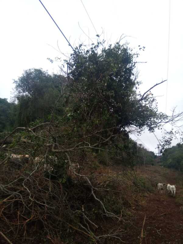 Restablecieron el servicio eléctrico en la zona centro tras reparar la línea de 132 kV dañada WhatsApp Image 2026 06 10 at 18.05.26 - 1