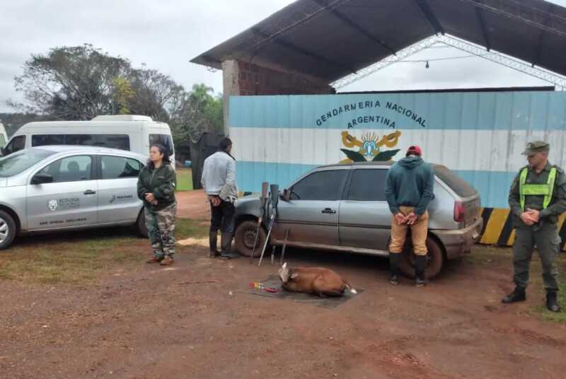 Detuvieron a dos cazadores furtivos dentro del Parque Provincial Urugua-í Detuvieron cazadores furtivos Parque Provincial Urugua-í