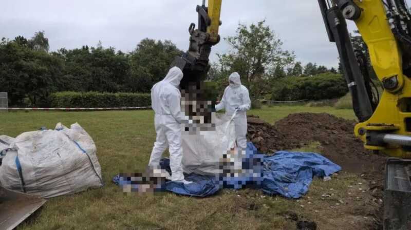Hallaron 34 fetos enterrados en el jardín de una vivienda en Polonia y detuvieron a una médica 6 WhatsApp Image 2026 06 17 at 17.29.39 1 - 5