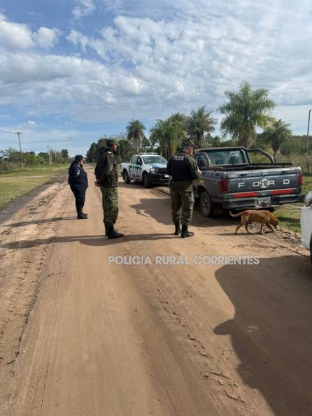 Corrientes: investigan la procedencia de carne vacuna decomisada en un operativo policial