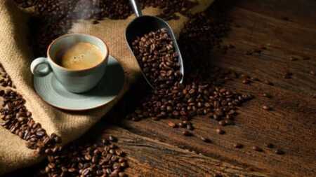 café artesanal en Apóstoles